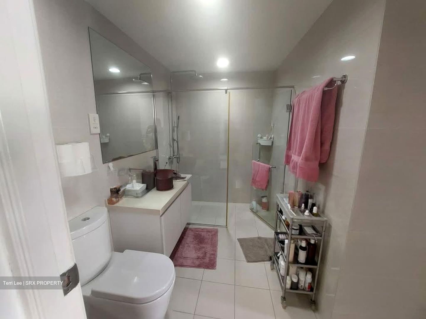 Cairnhill Plaza (D9), Apartment #581231521